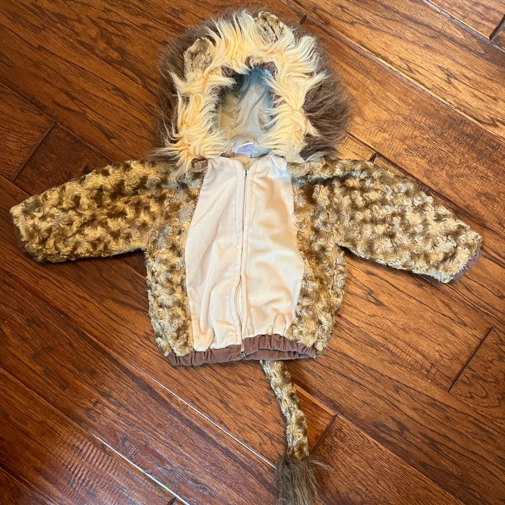 Baby Lion Costume